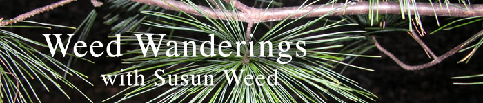 Weed Wanderings Herbal eZine with Susun Weed