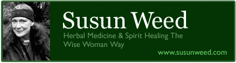 Herbal Medicine correspondence courses with Susun Weed
